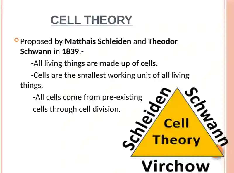 Cells 4