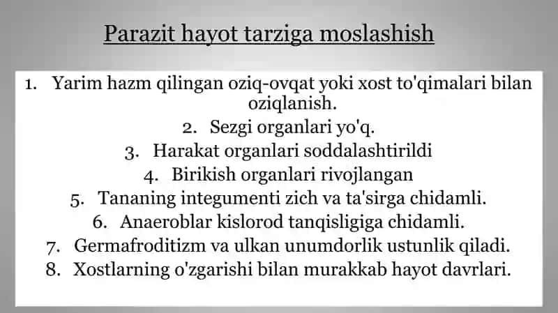 Qurtlar parazitlardir 4