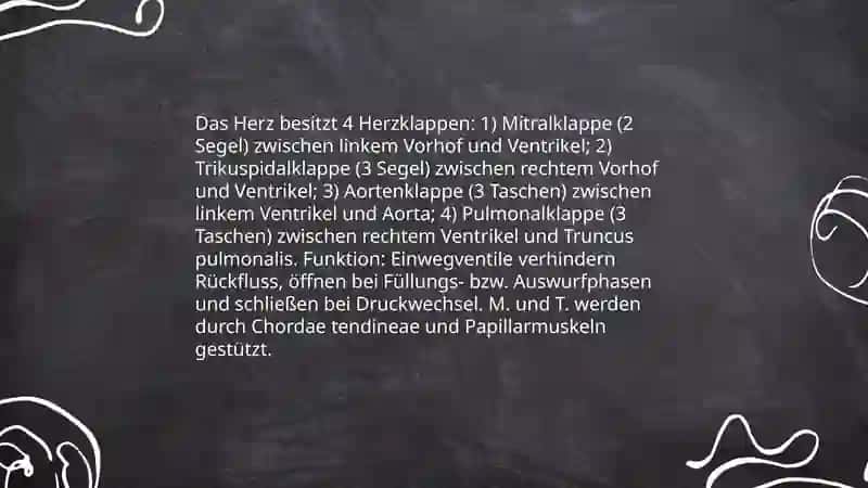 Kreislaufsystem 4