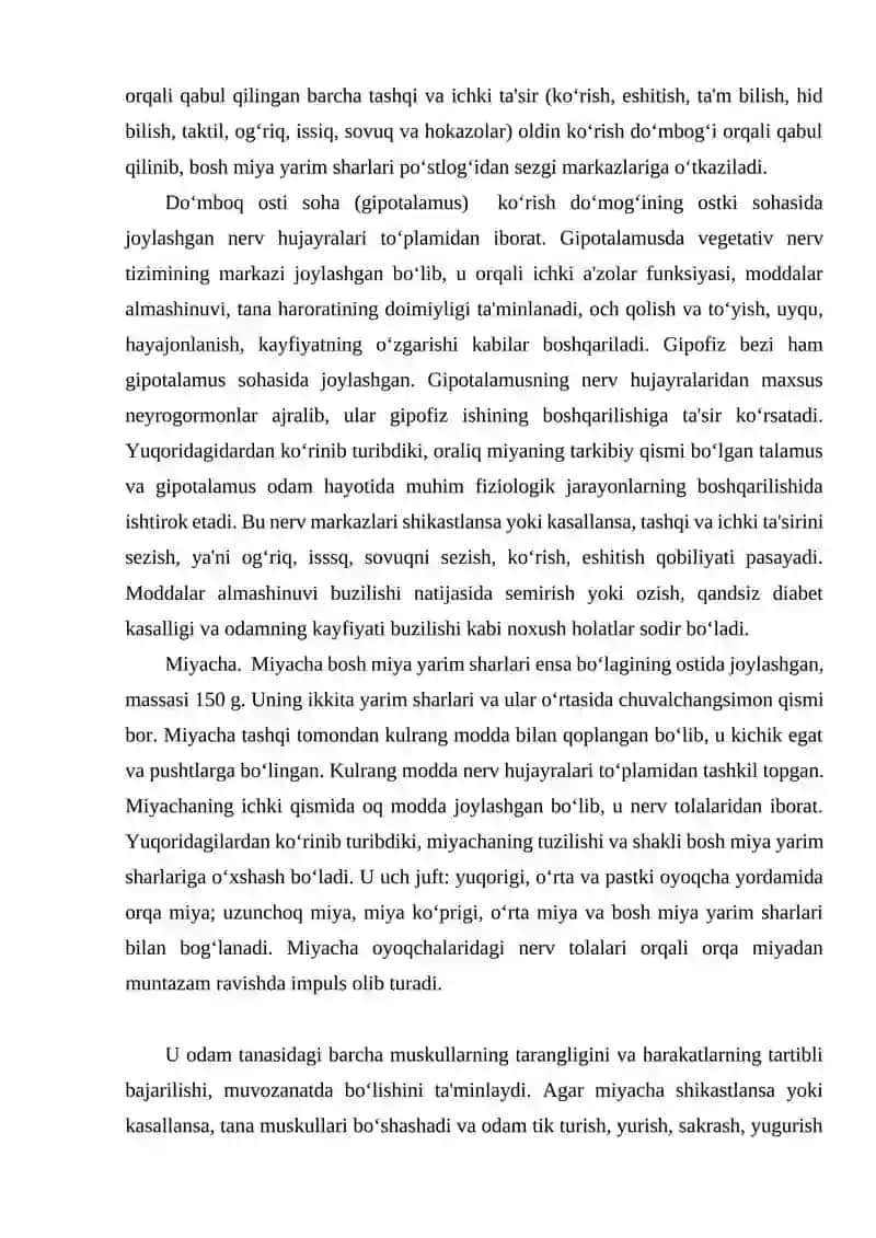 Bosh miyaning tuzilishi 4