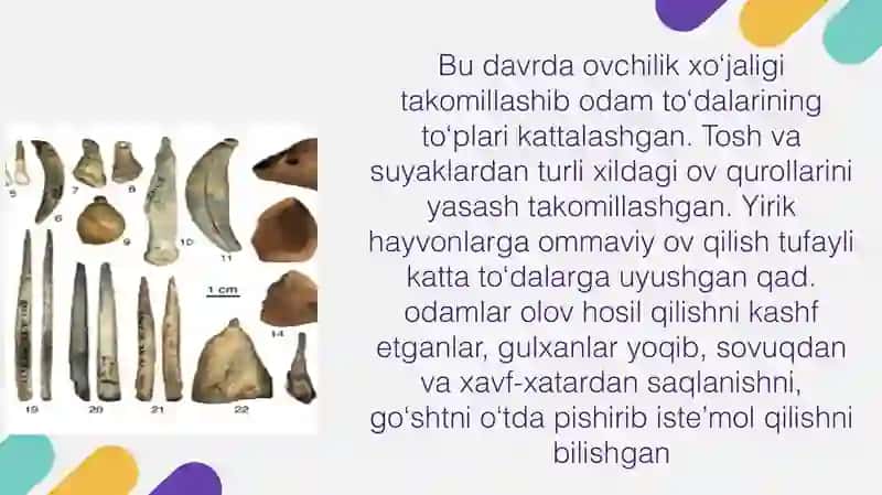 O'rta Paleolit davri manzilgohlari 4