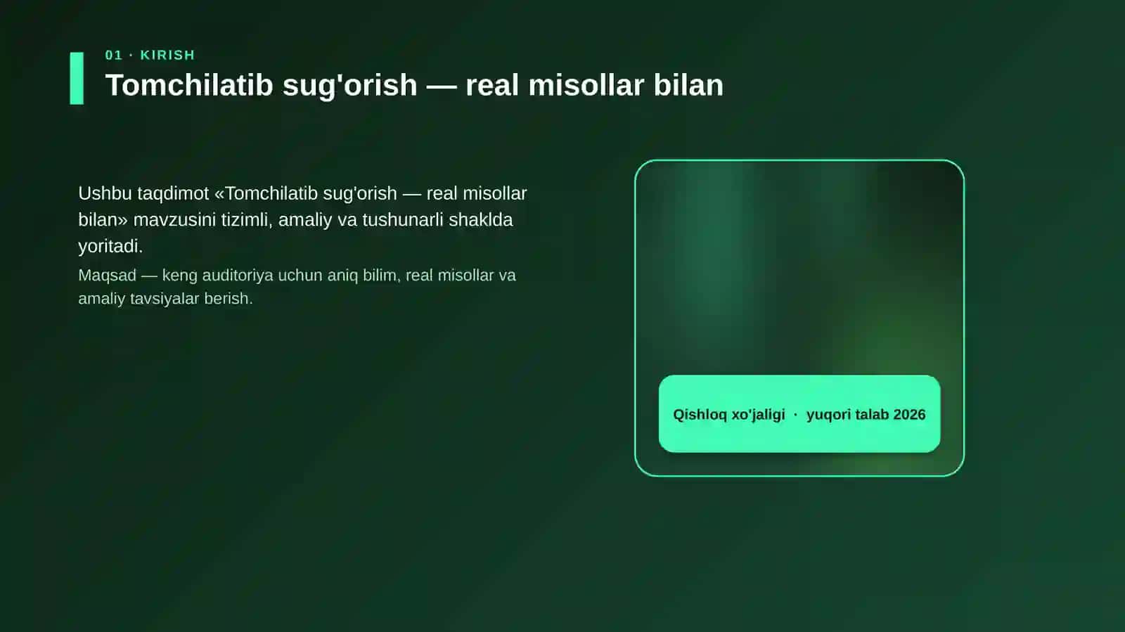 Tomchilatib sug'orish — real misollar bilan 4