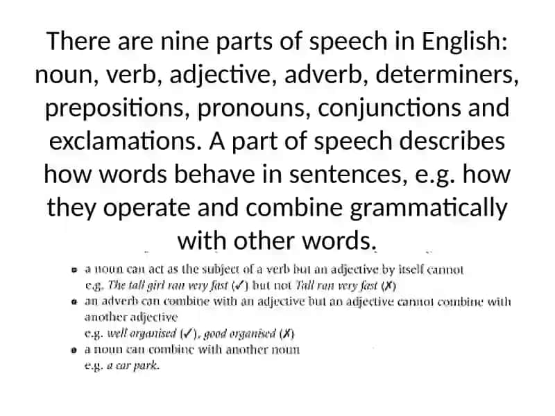 Grammar in Language 4