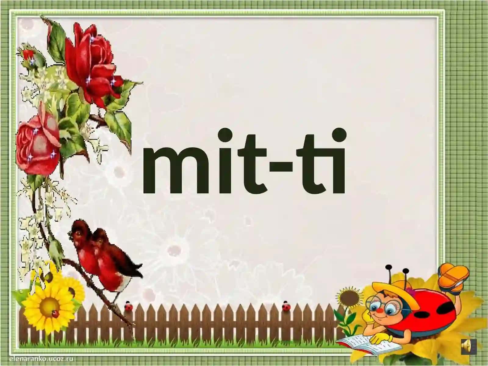 Tommit-ti 4