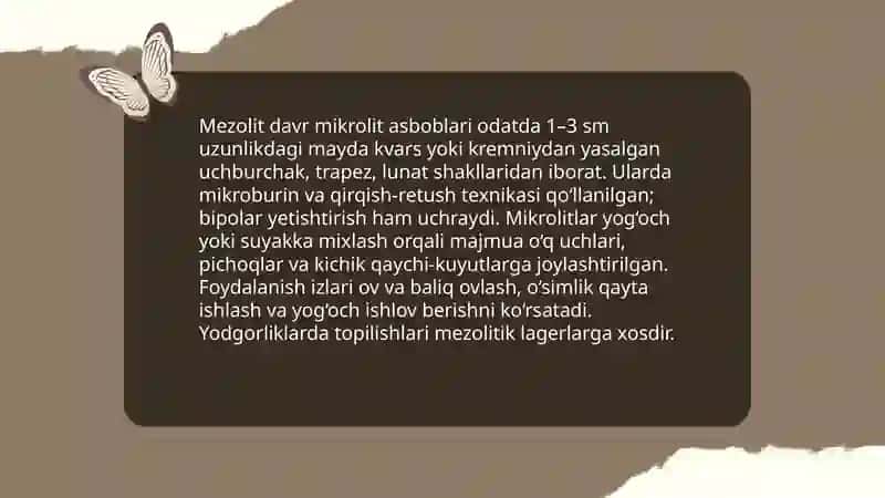 Mezolit davriga oid yodgorliklar 4