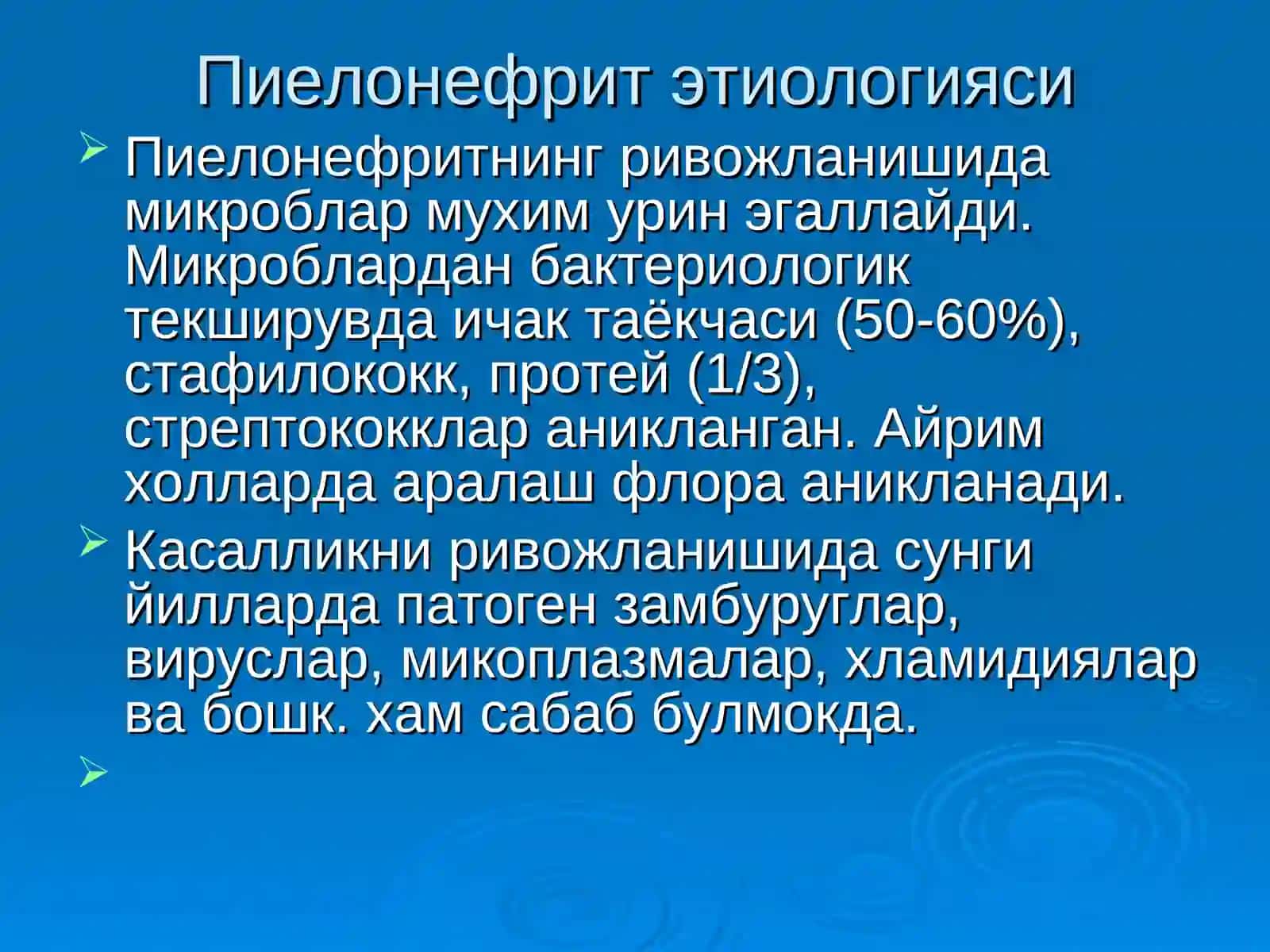 Пиелонефрит 4