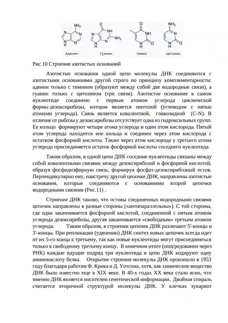 Молекулярные основы биоинформатики 4