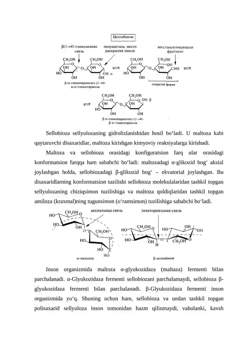 OLIGOSAXARIDLAR 4