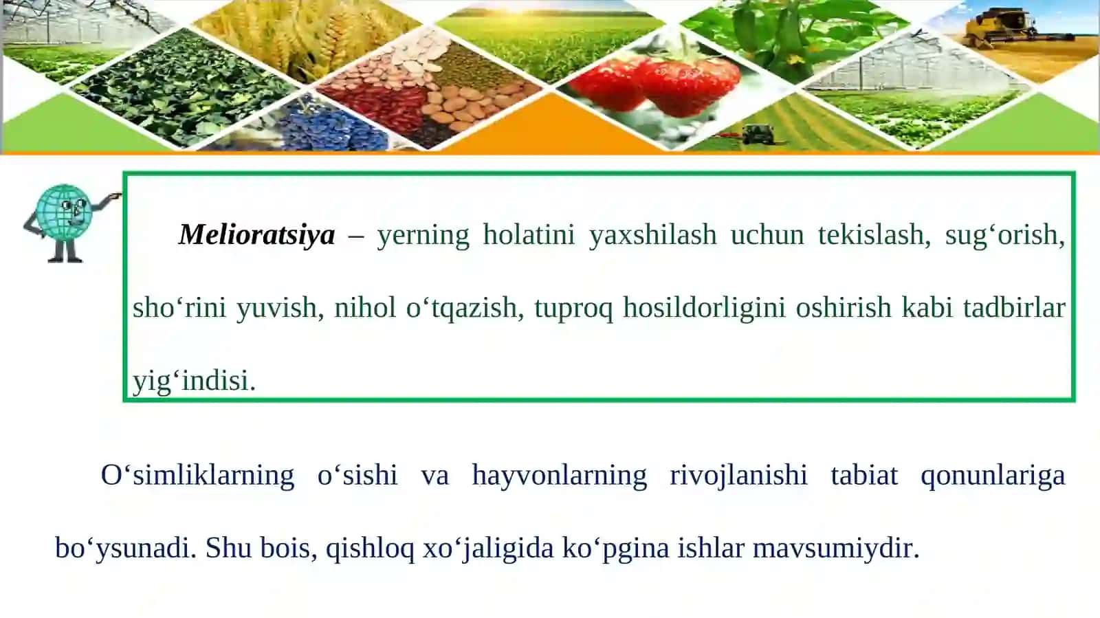 Qishloq xo‘jaligi 4