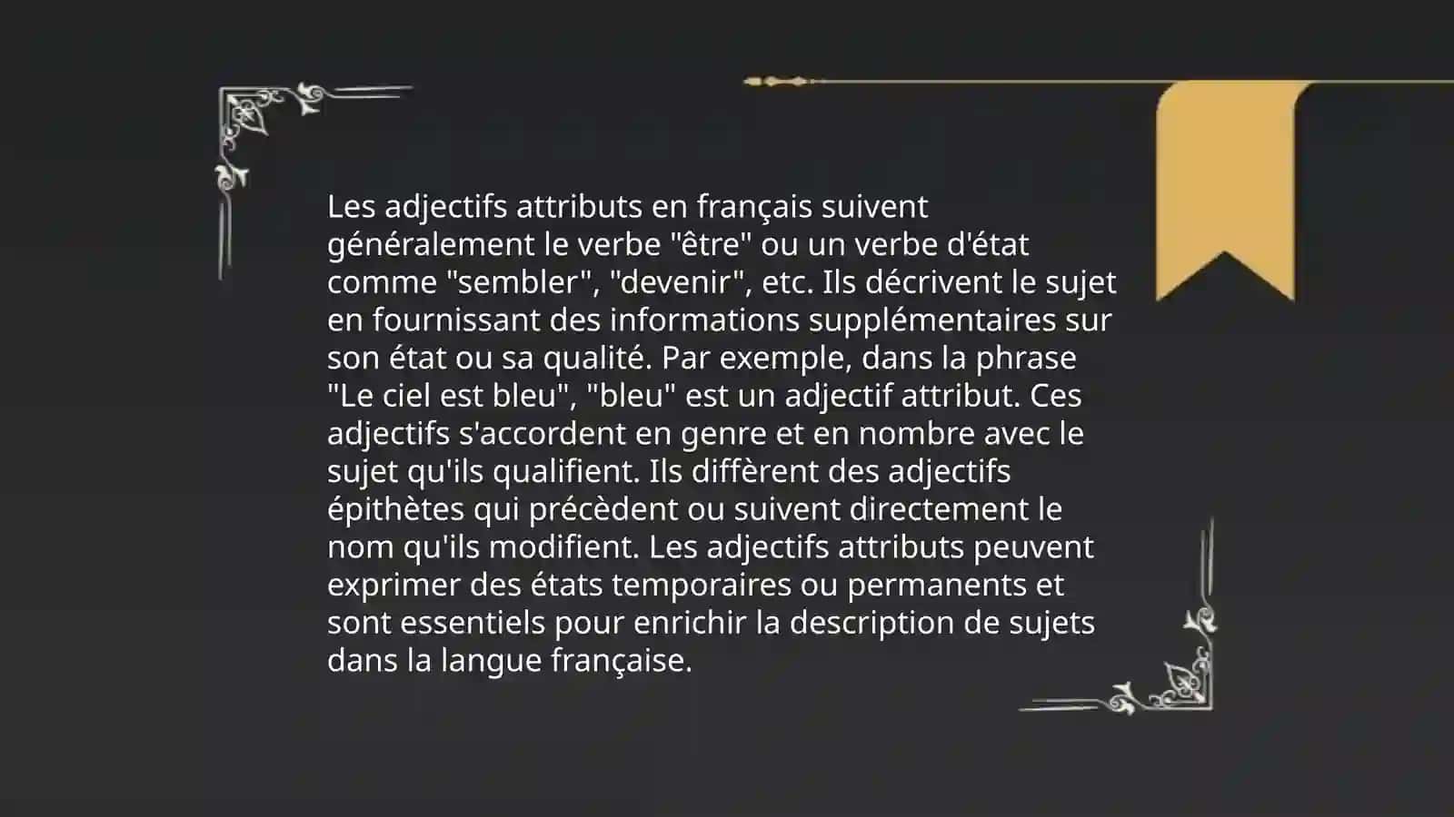 La place de l'adjectif 4