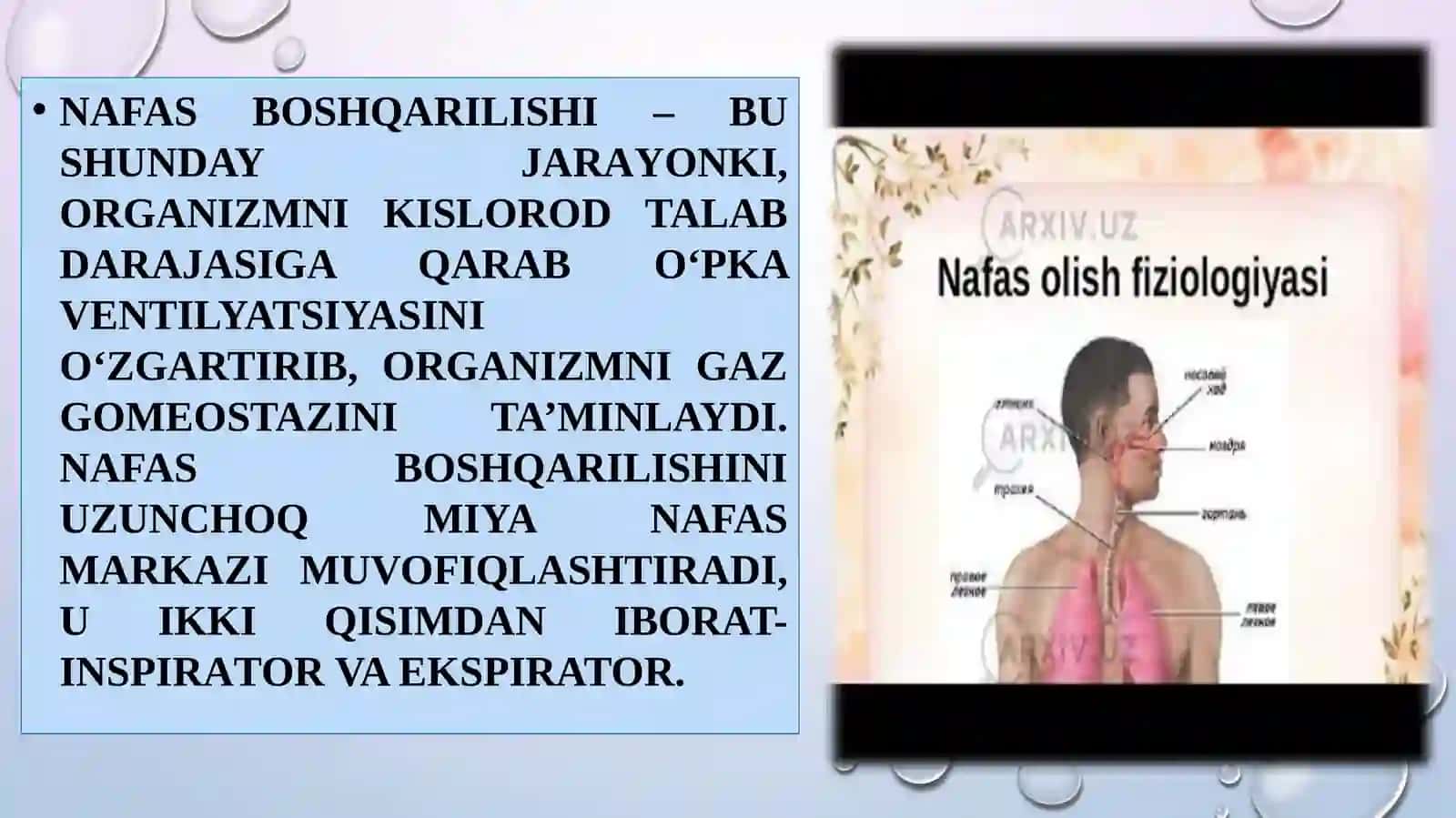NAFASFIZIOLOGIYASI. NAFAS TIZIMI FUNKSIYALARI. NAFAS OLISH VA CHIQARISH BIOMEXANIKASI. PLEVRA BO’SHLIG’IDAGI BOSIM. O’PKADA GAZLAR ALMASHINUVI! 4