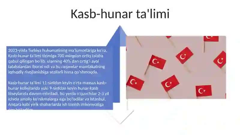 Turkiyaning taʼlim tizimi 4