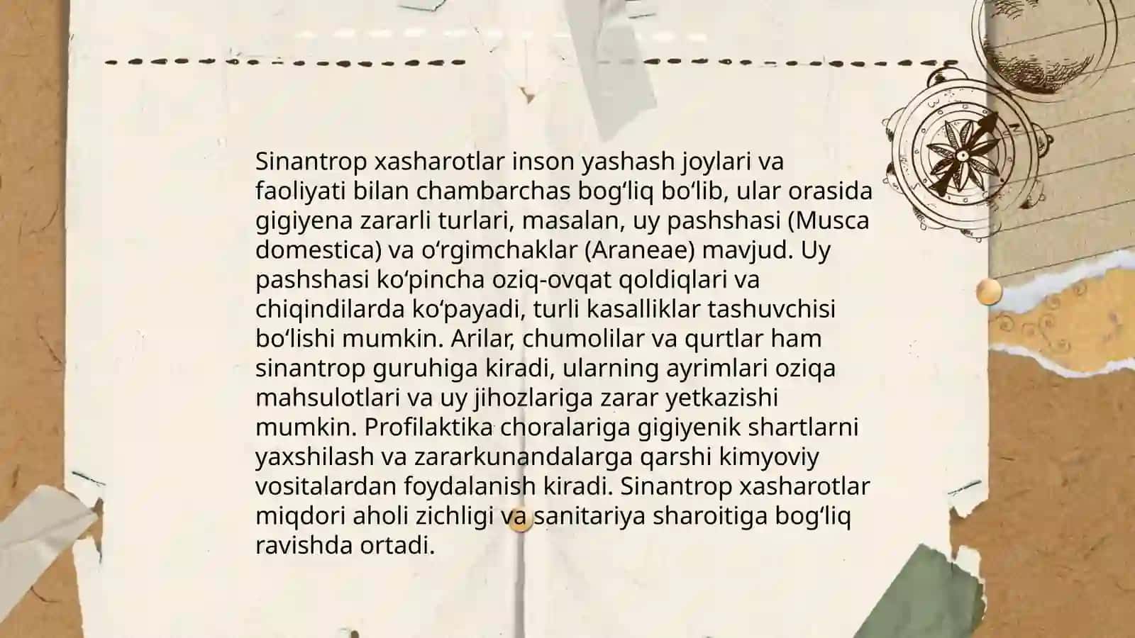 Sinantrop xasharotlar 4