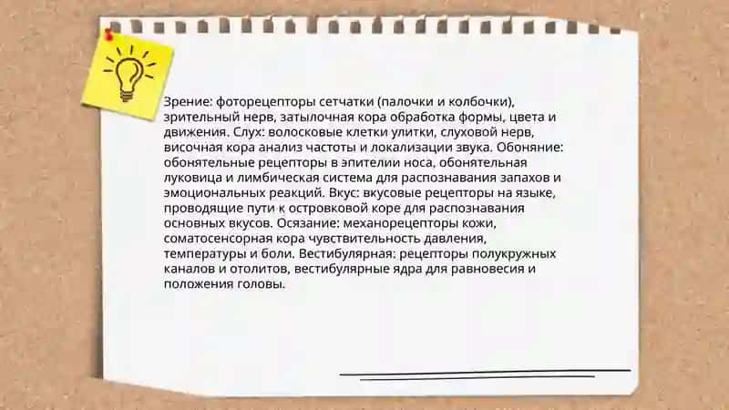 Хван Надежда 4