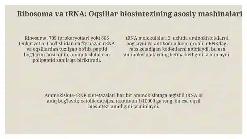 Oqsil biosintezi 4
