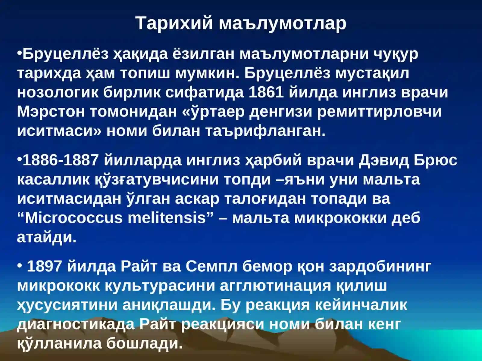 БРУЦЕЛЛЁЗ 4