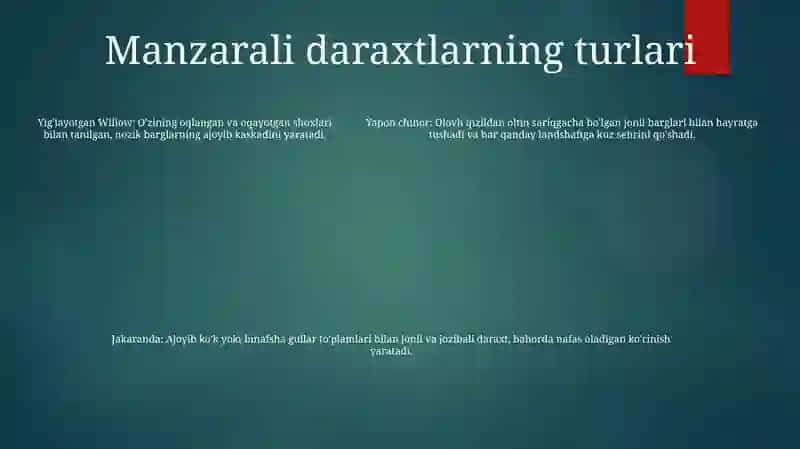 Manzarali Daraxtlar 4