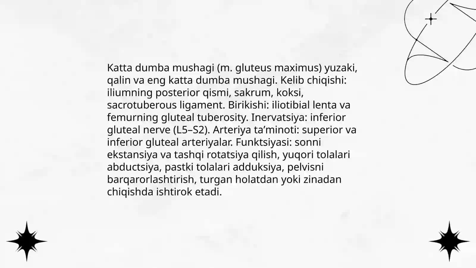 Dumba sohasining klinik anatomiyasi 4