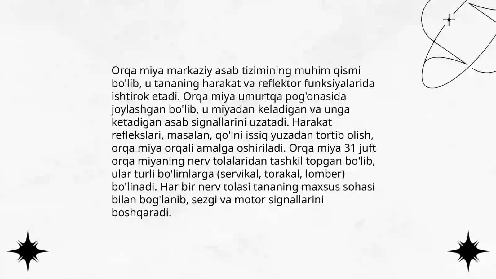 Orqa miya anatomiyasi 4