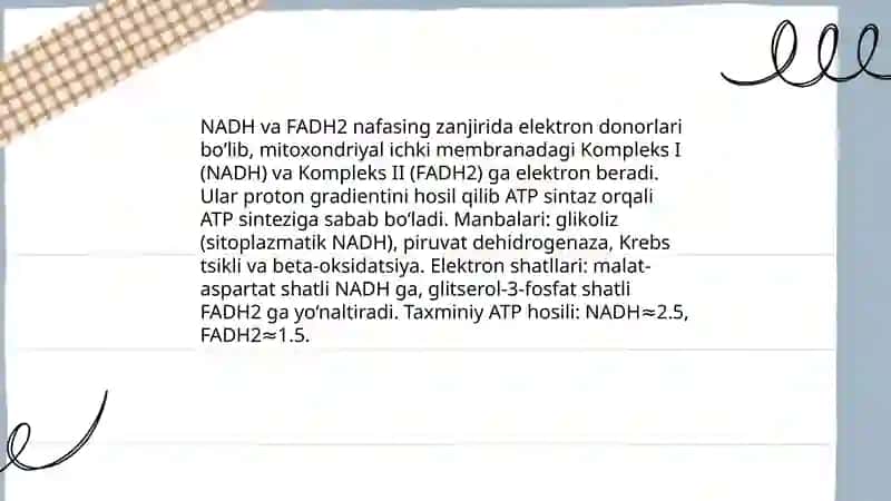 Nafas olish zanjiri.Makroenergatik birikmalaming sintezi 4