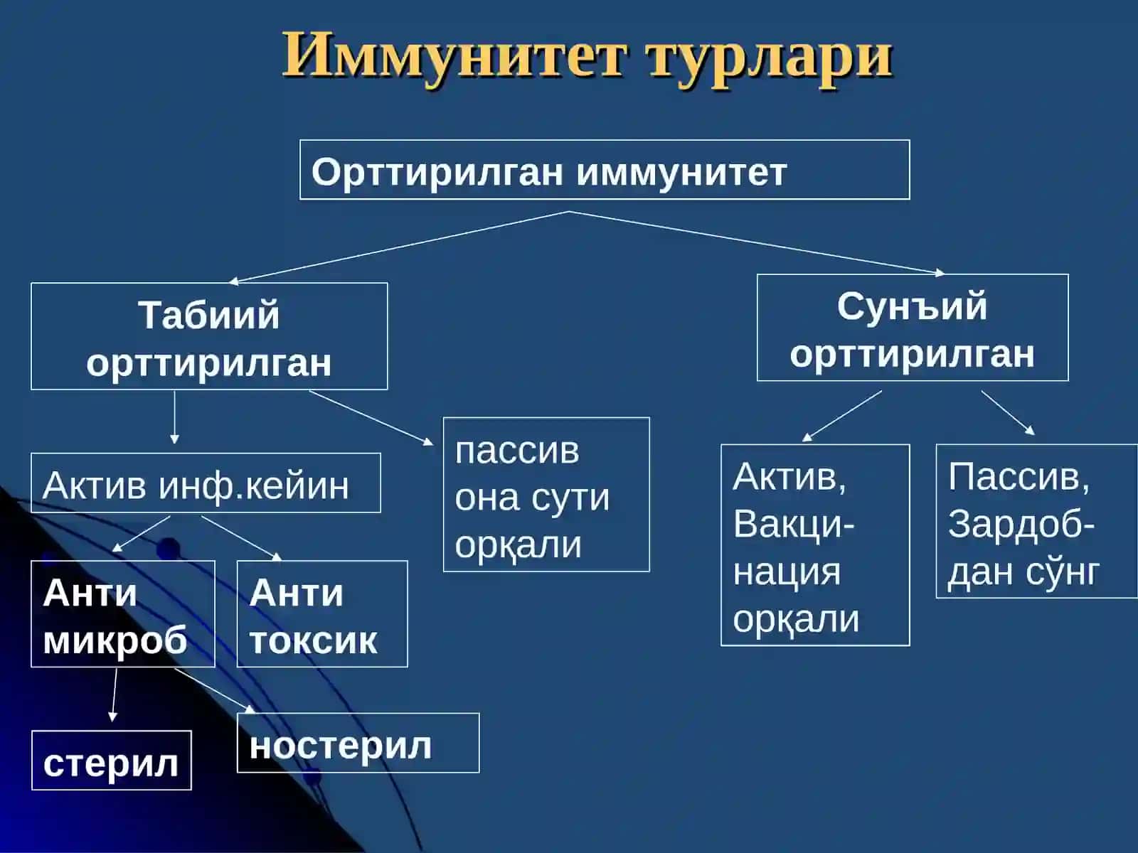ИММУНИТЕТ 4