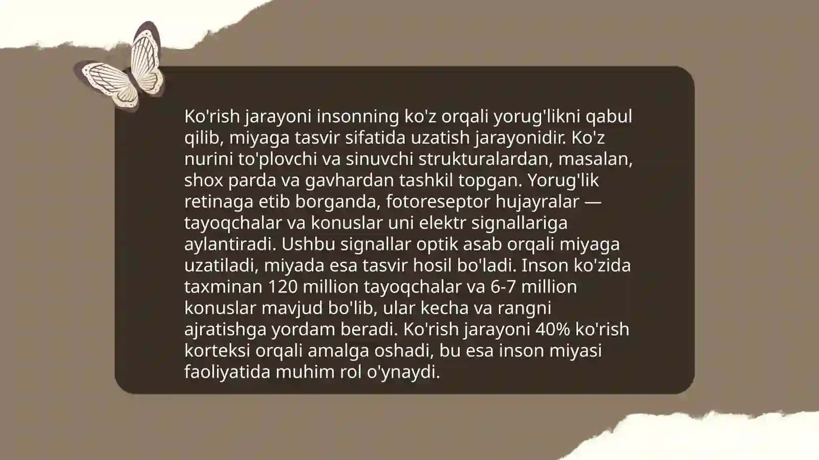 Ko'rish va eshitish analizatorlari 4