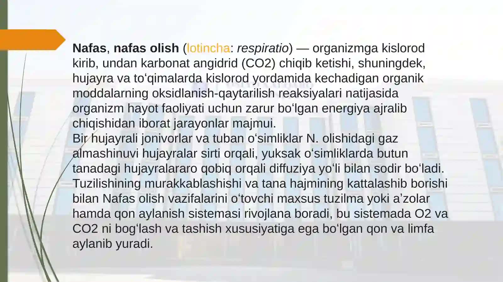 Nafas olish jarayoni. Nafas a'zolarining rentgen anatomiyasi va rivojlanish nuqsonlari 4