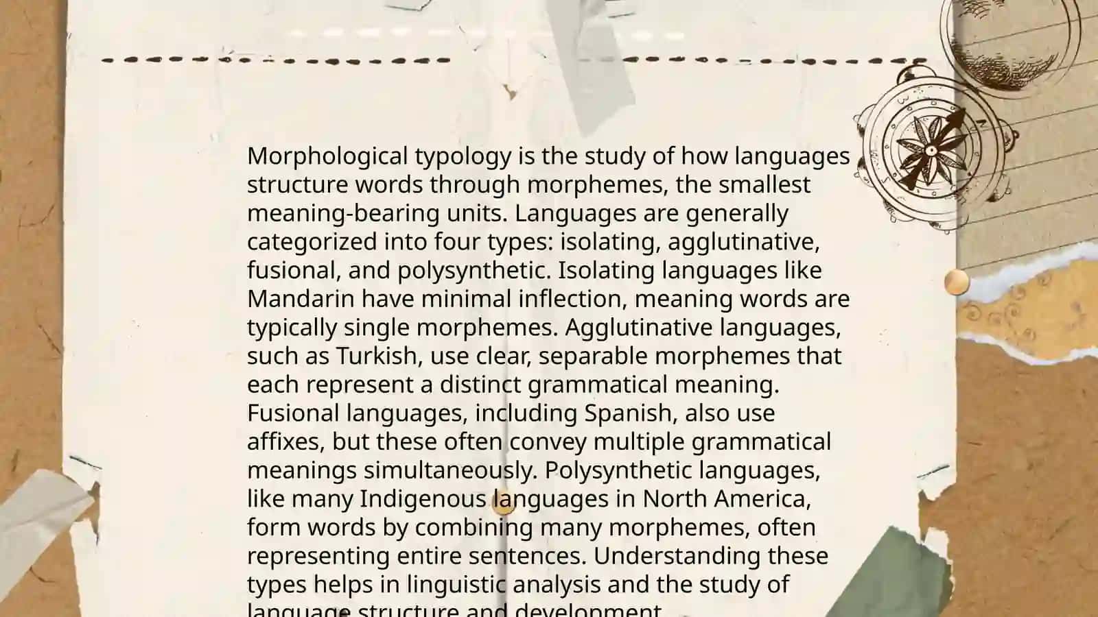 Typology of lexical systems 4