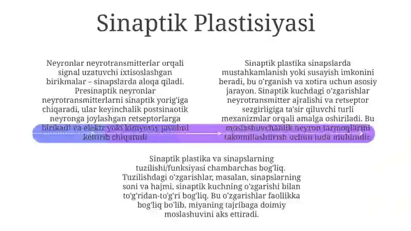 Sinapslar 4