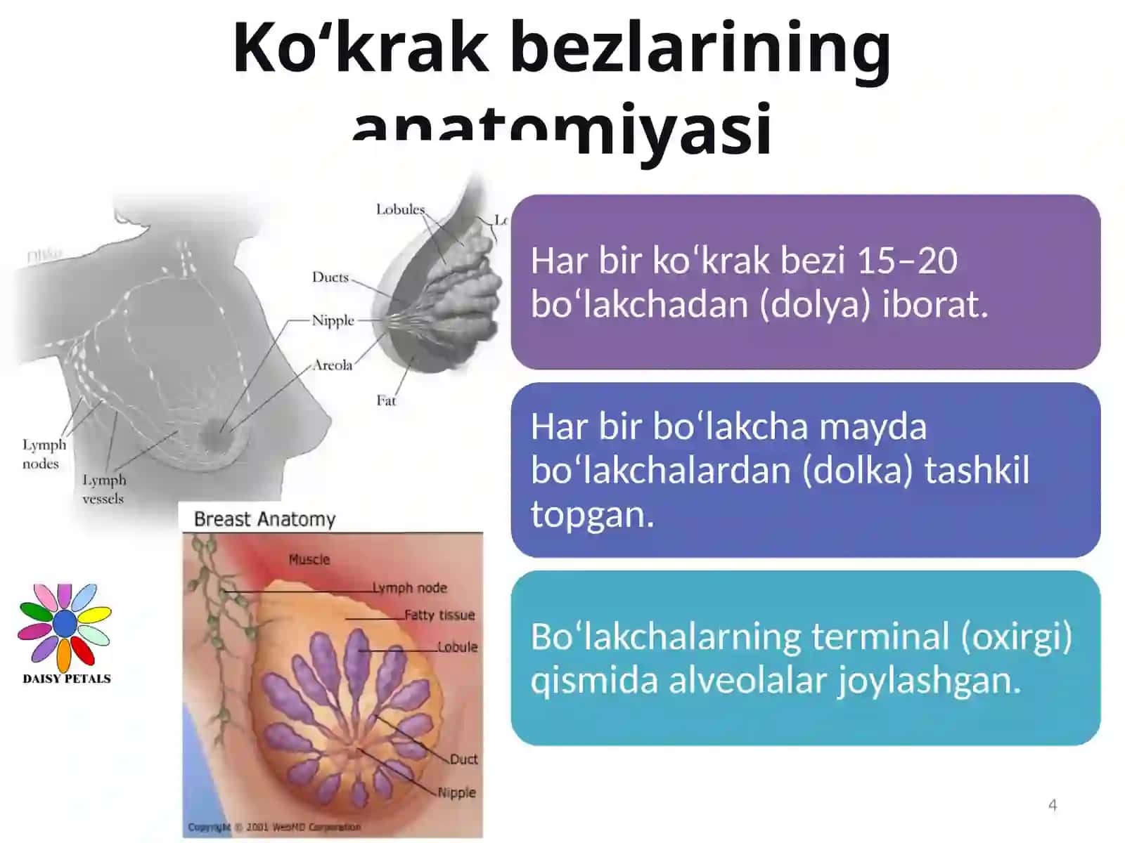 Ko‘krak bezi saratoni 4