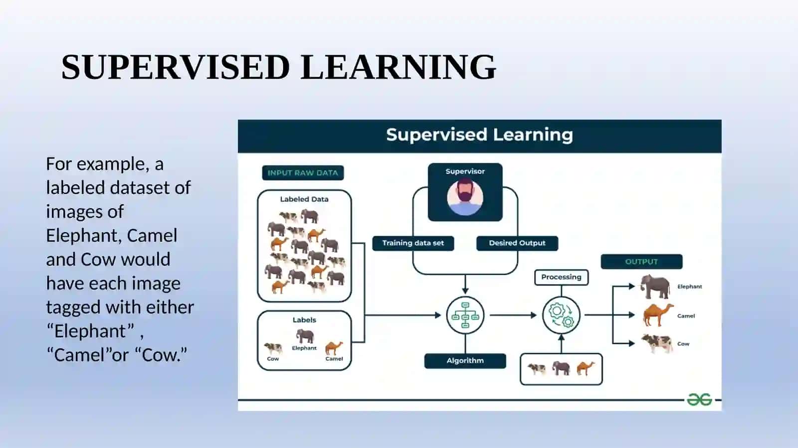 TYPES OF ARTIFICIAL NEURAL NETWORKS- BASED ON LEARNING ALGORITHMS 4