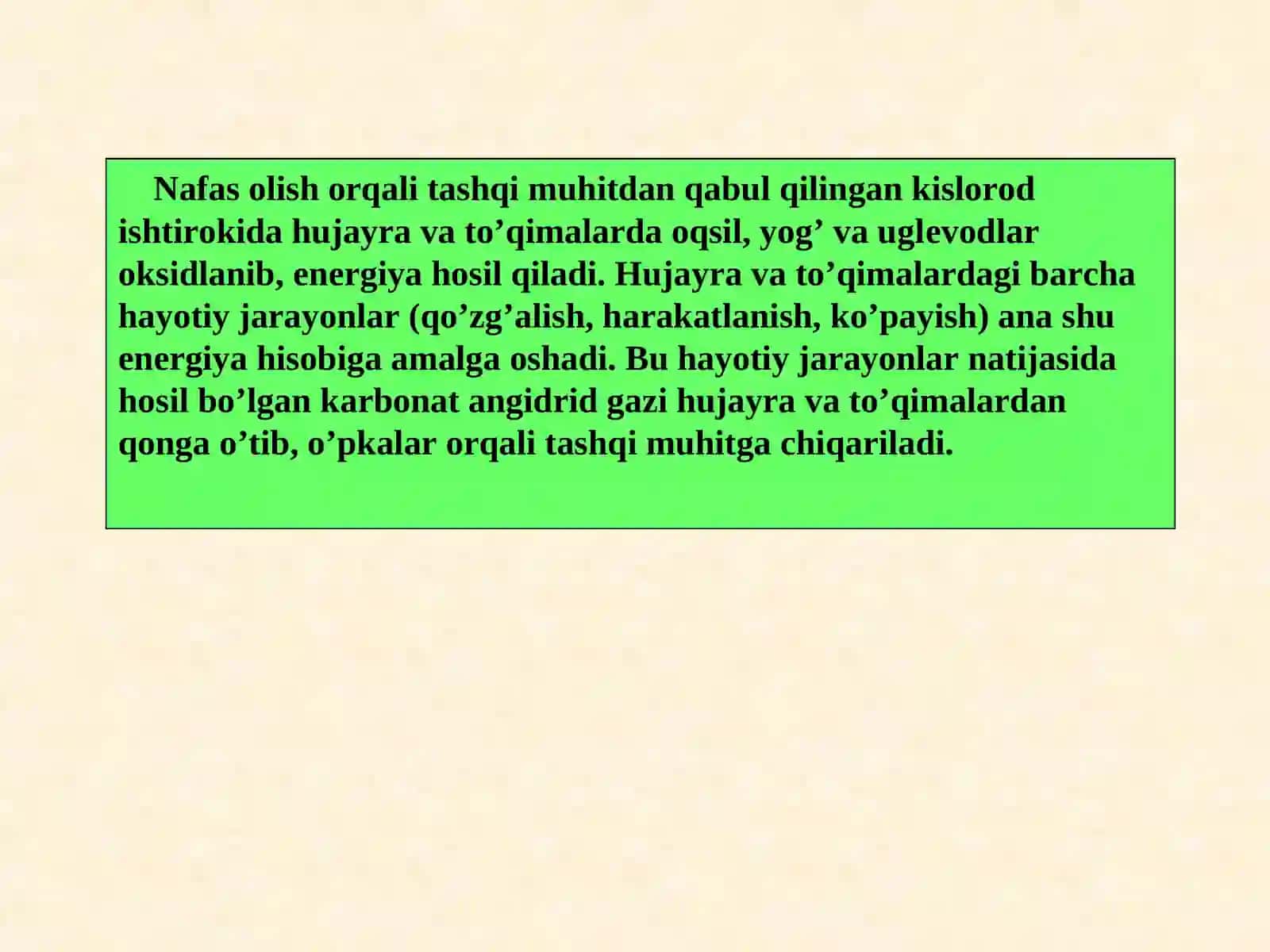 Nafas olish tizimi 4