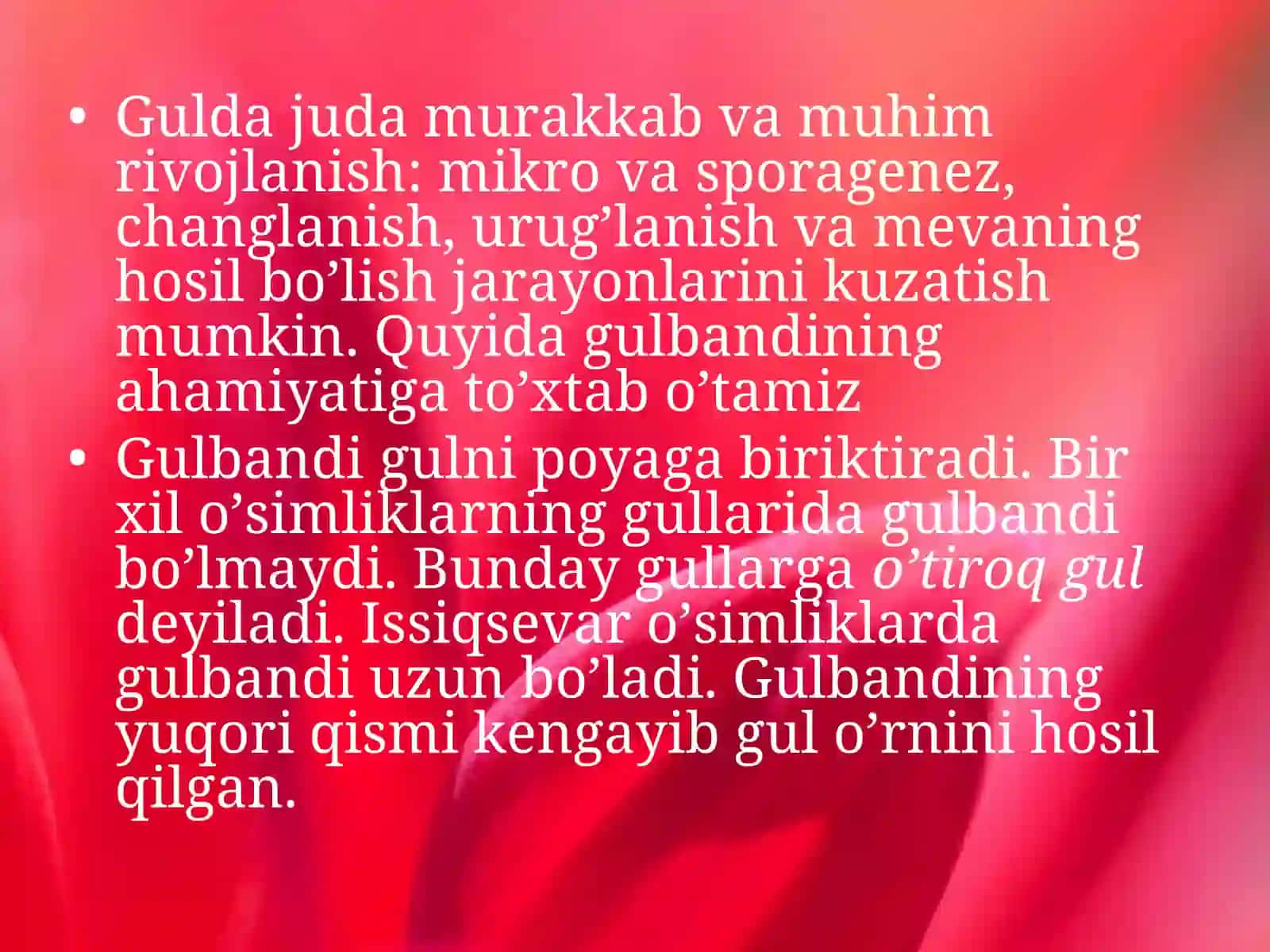 Gul 4