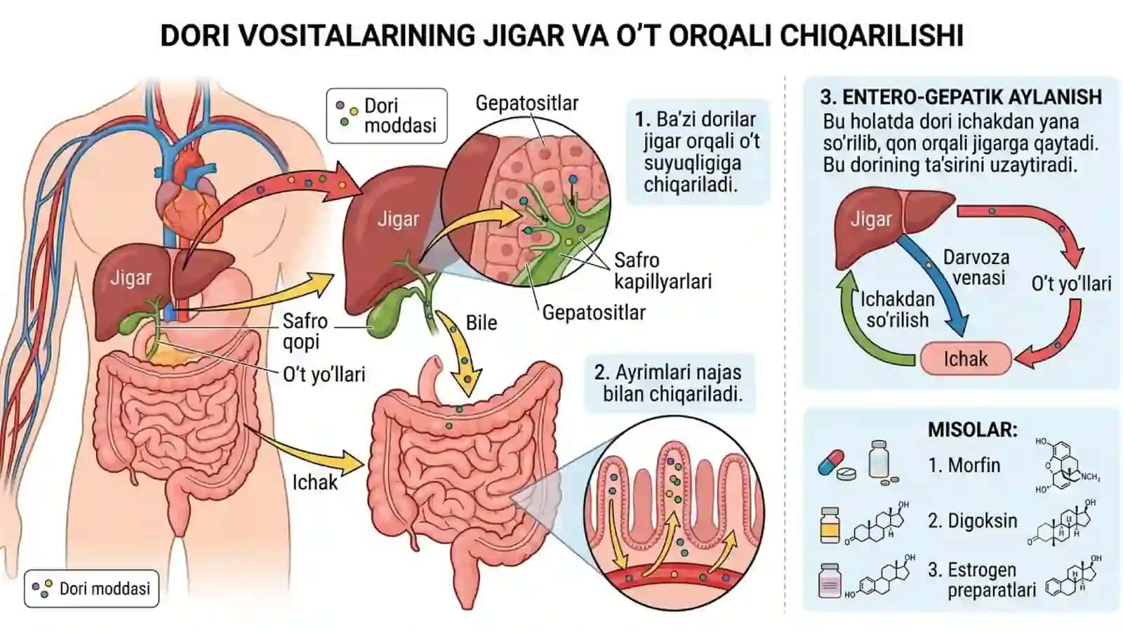 Dorilarning chiqarilishi 4