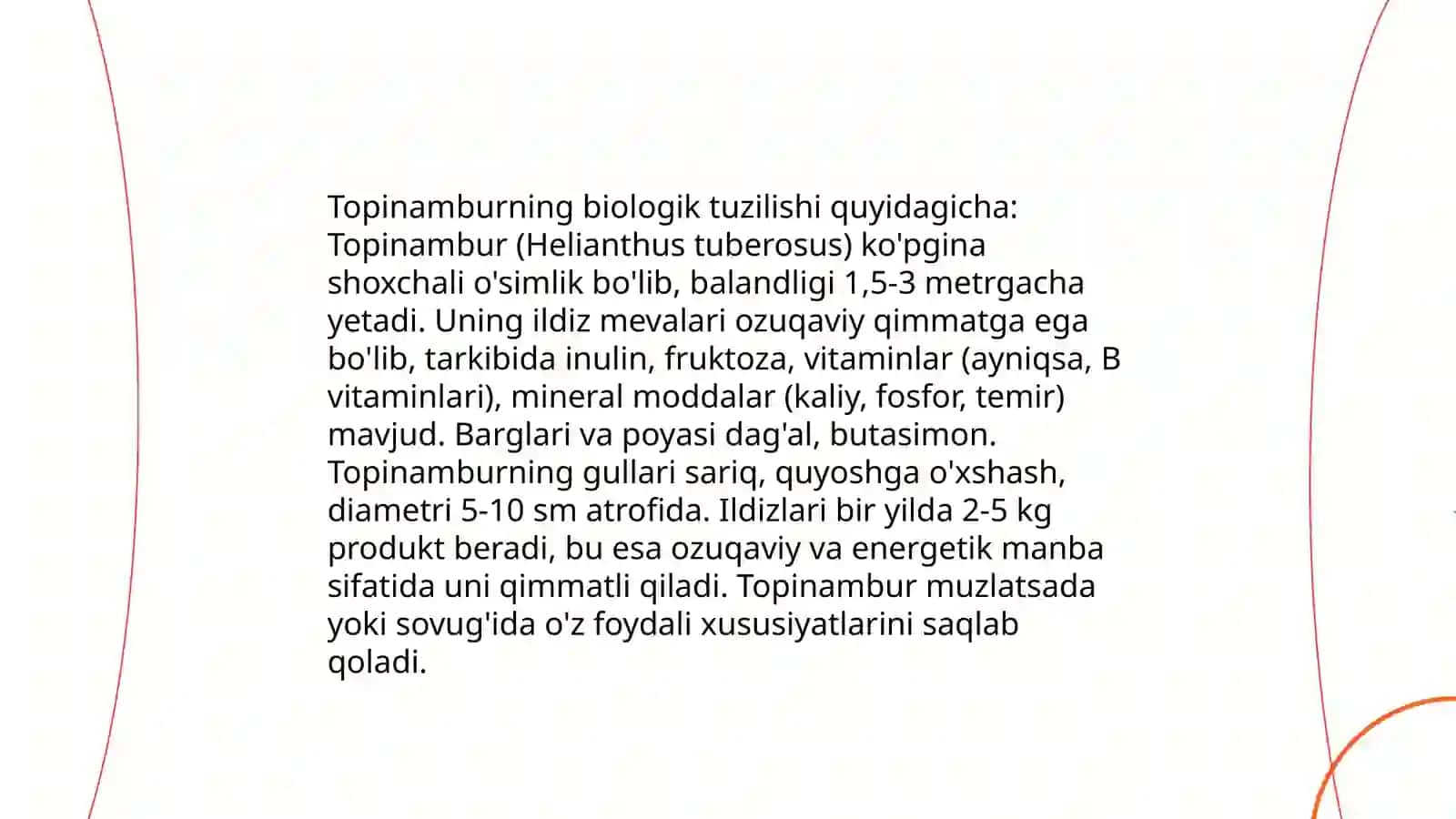 Topinabur morfalogiyasi biologiyasi va yetishtirish texnalogiyasi 4
