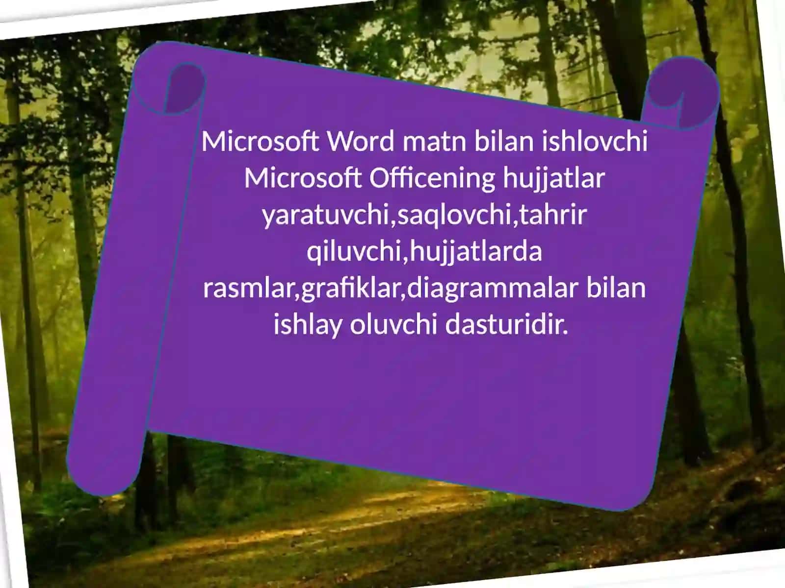Microsoft Word 4