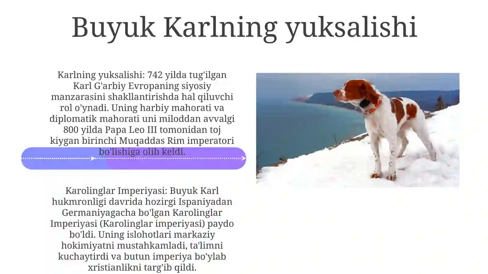 Karolinglar Imperiyasi 4