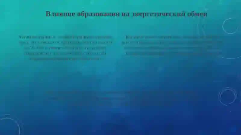 Презентация 4