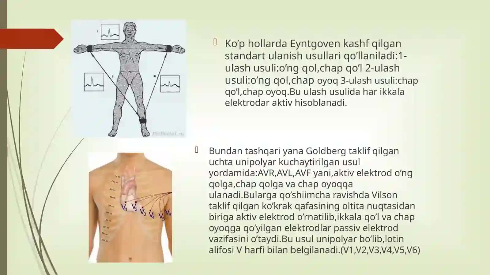 Yurak faoliyatini tekshirish usullari 4