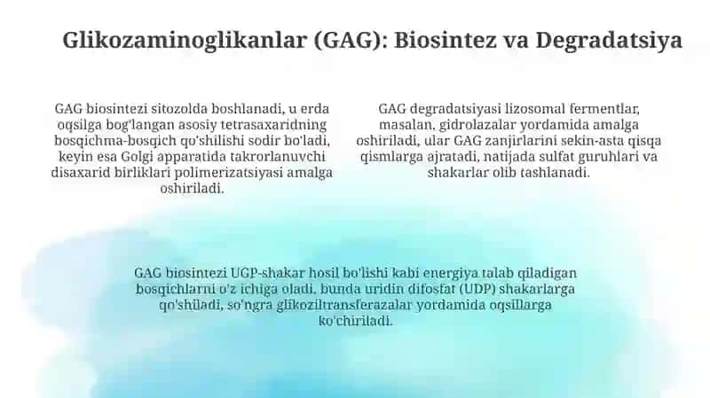 Mukopolisaxaridlar 4
