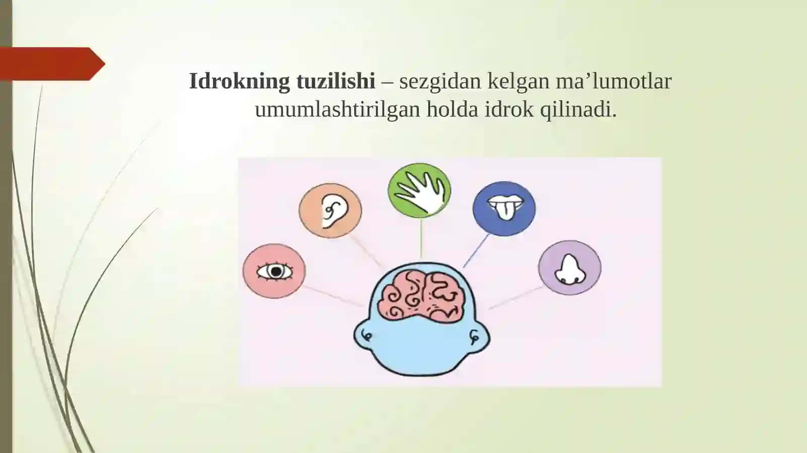IDROK VA UNING TURLARI 4