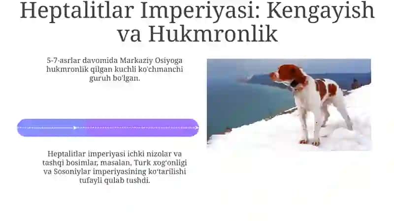 Eftaliylar davlati 4