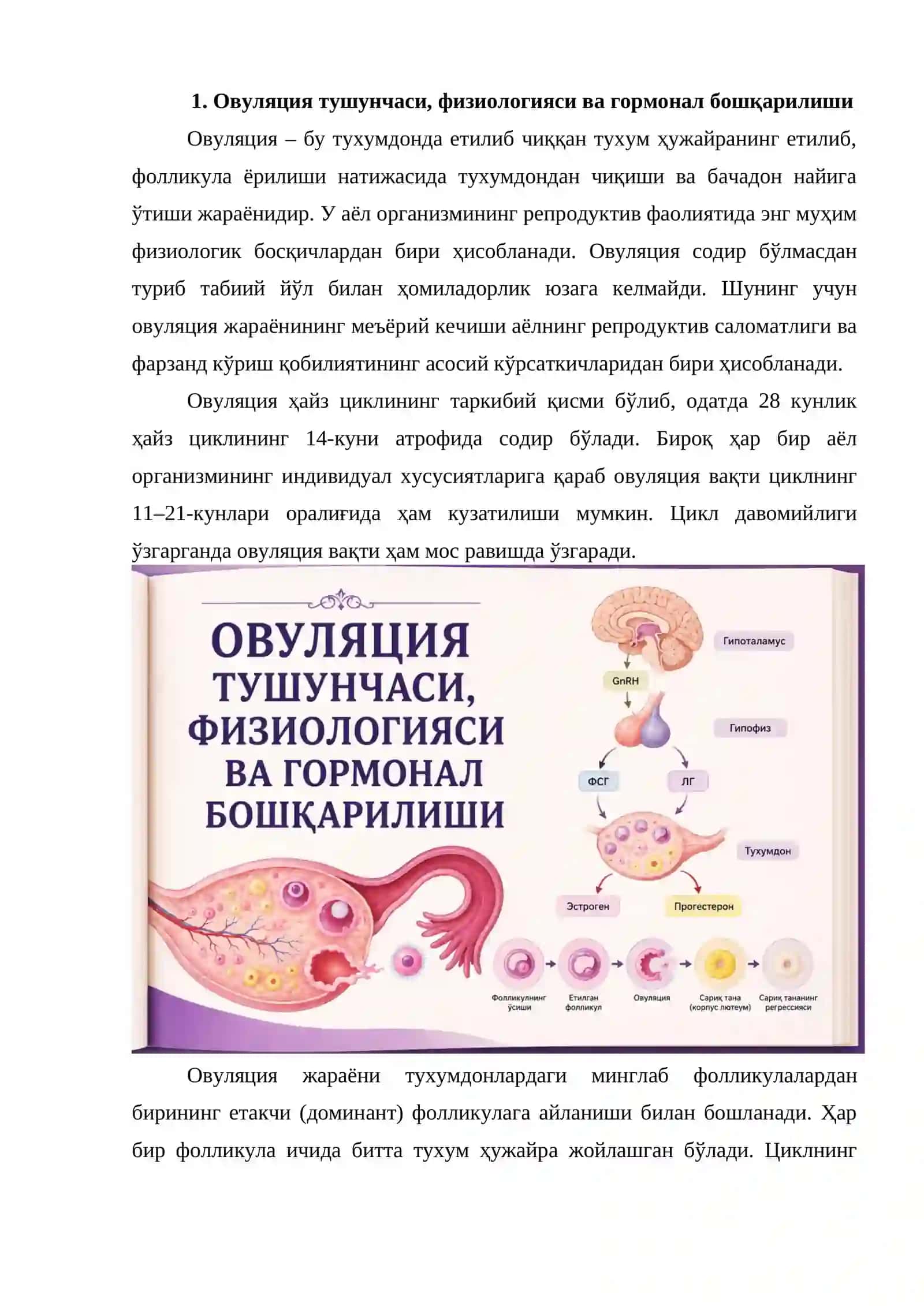 Овуляция ҳақида маълумот 4