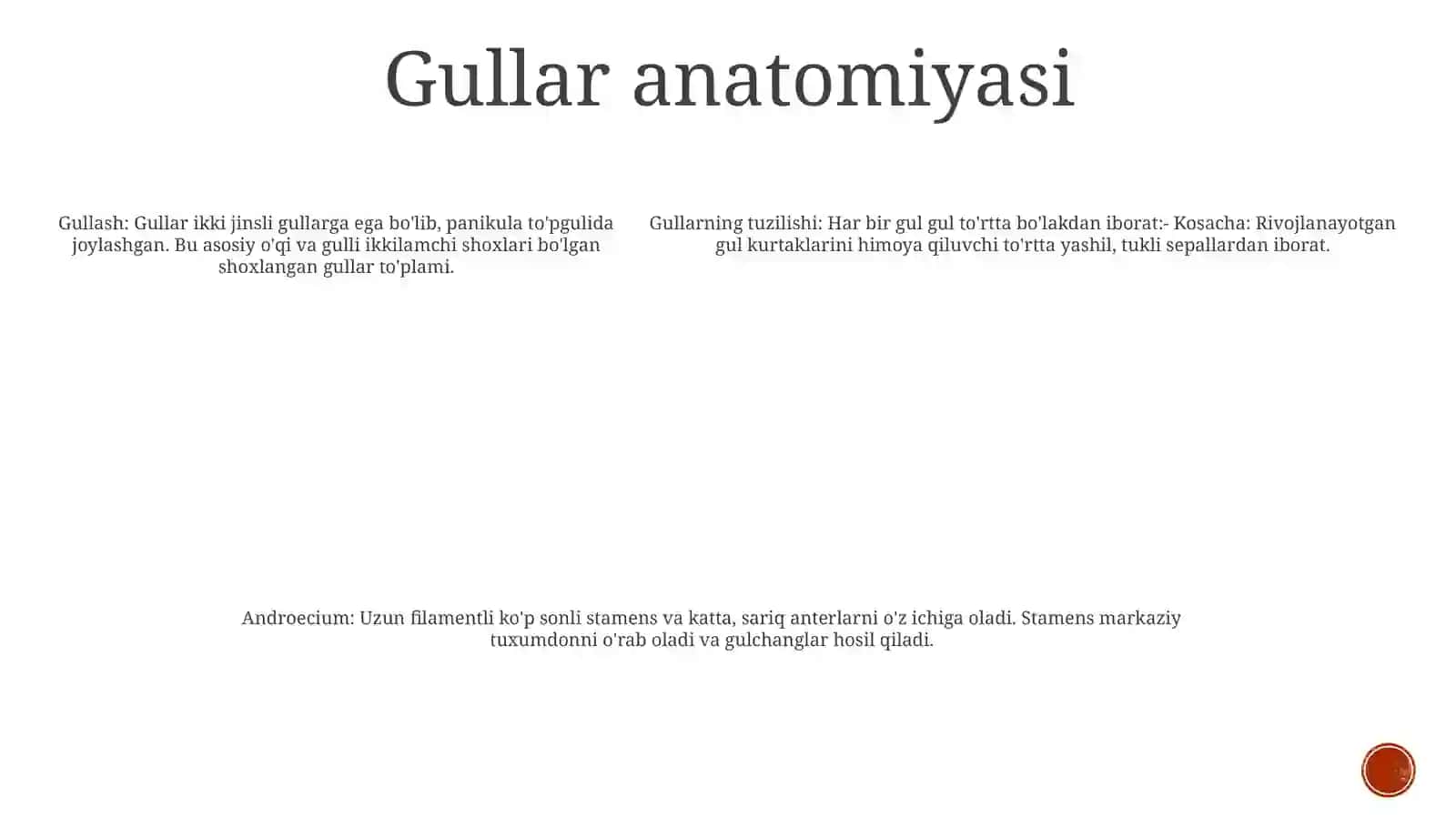 Gullar 4