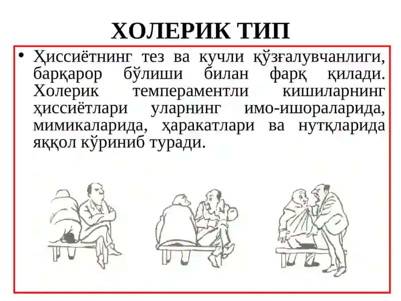 Шахс Темпераменти 4