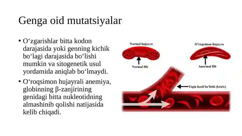 Mutatsiyalar va kanserogenez. 4
