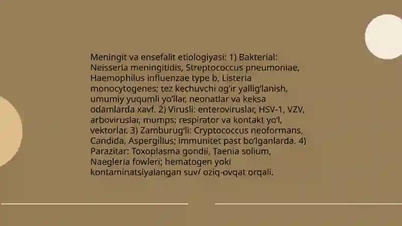 Mneget va ensefalit kasaligi 4