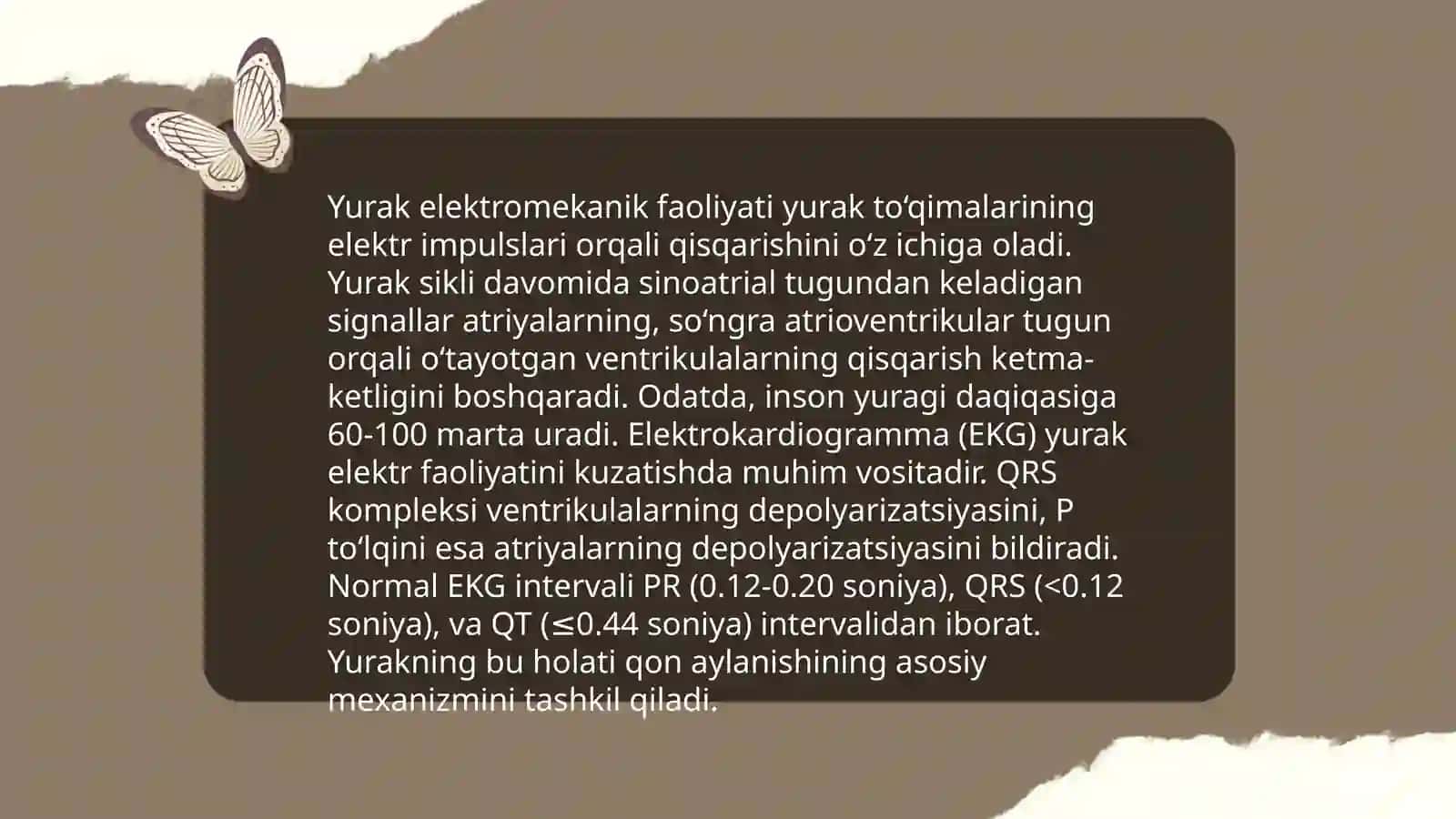 Yurak anatomiyasi 4