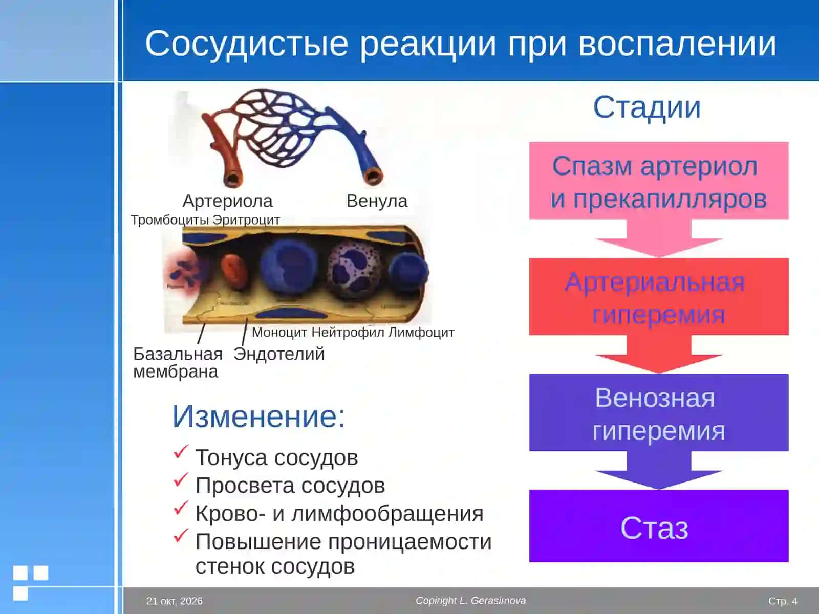 Воспаление 4