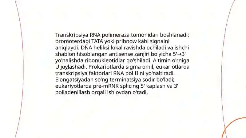 oqsil biosintezi 4
